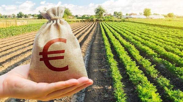 Investimenti produttivi per la competitività delle aziende agricole
